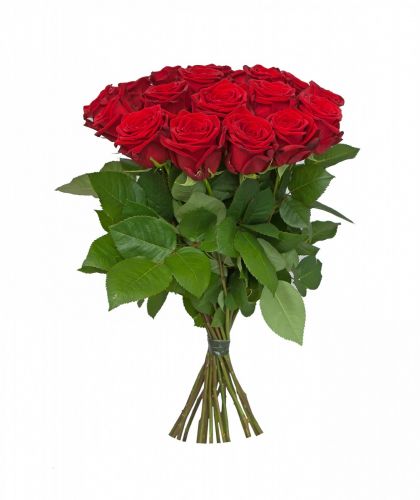15 красных роз - купить с доставкой по Ашгабату